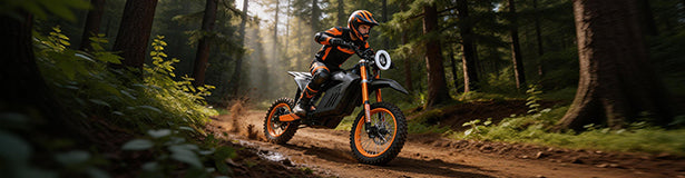 Deetago EK2 safety suspension and drum brake